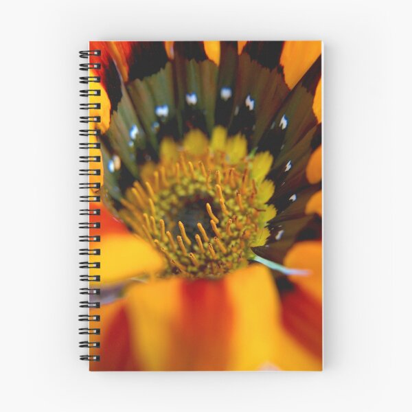 Aperçu de l'œuvre Striped Gazania créée et vendue par Beth A.