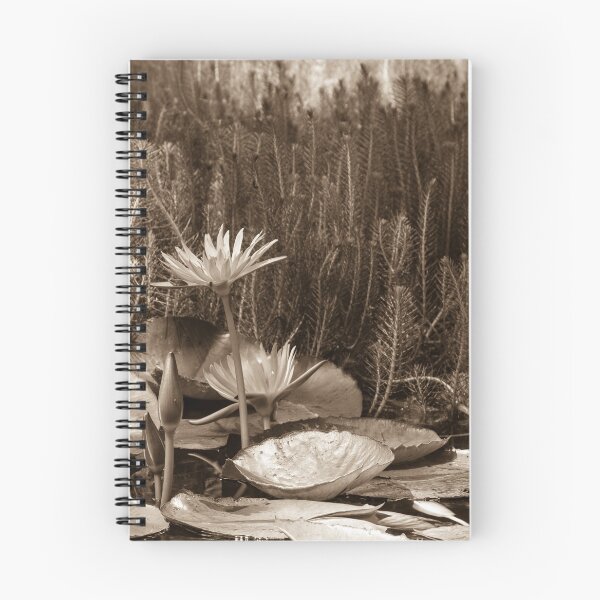 Item preview, Bronzed Lily designed and sold by Vicky Cullen.