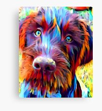 Deutscher Wirehaired Pointer Leinwanddruck