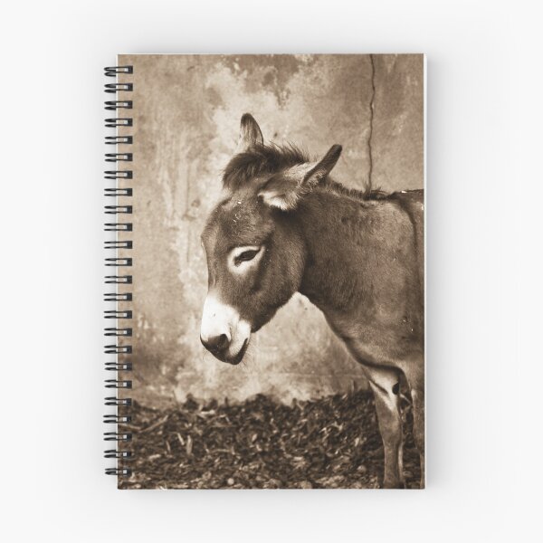 Item preview, El Burro designed and sold by Michael Jordan.