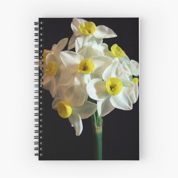 Item preview, Jaunty Jonquil designed and sold by Sharon McRae.