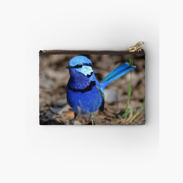 Item preview, splendid fairywren Malurus splendens Australia bird lila blue designed and sold by Schoensl.