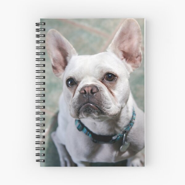 Item preview, Just one more designed and sold by Sue  Cullumber.