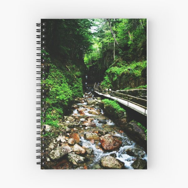 Item preview, White Mountain Flume designed and sold by Chloe Garfield.