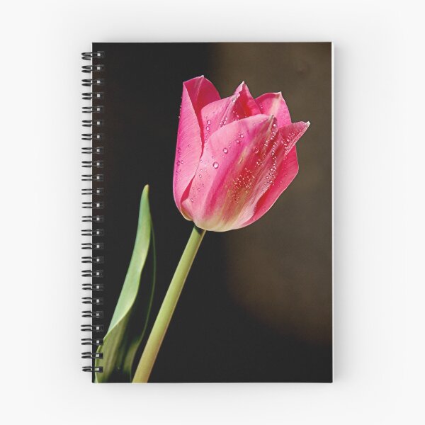 Item preview, Pink Tulip designed and sold by patapping.