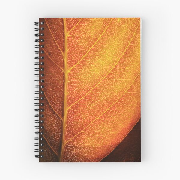 Item preview, Orange Leaf designed and sold by Ross Jardine.