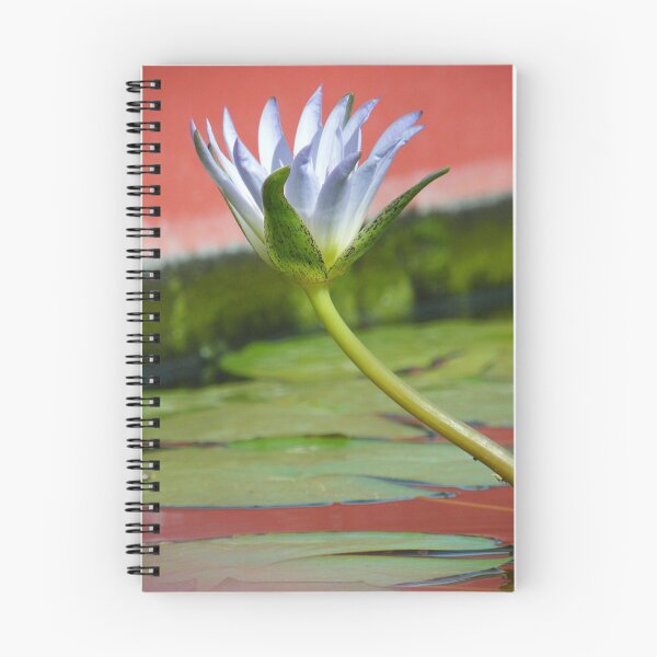Item preview, Wistful designed and sold by Kablwerk.