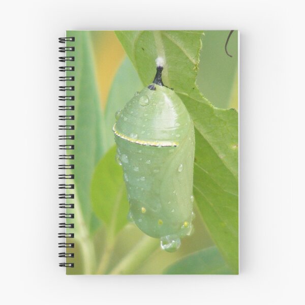 Item preview, Cocoon designed and sold by ronibgood.