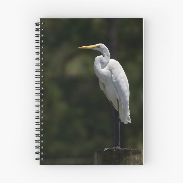 Item preview, Standing Tall Egret designed and sold by Jonicool.