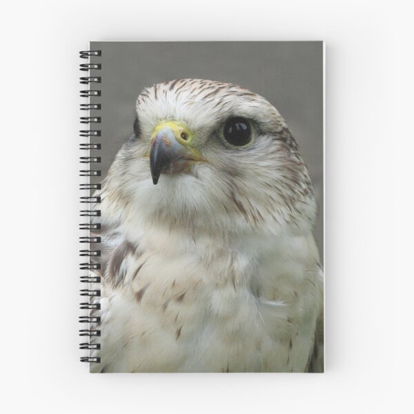 Item preview, Goshawk designed and sold by jacqi.