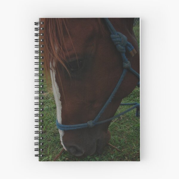 Item preview, Grazing designed and sold by www4gsus.