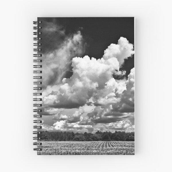 Artikelvorschau, Corn and Clouds b&w entworfen und verkauft von Jeff Harris.