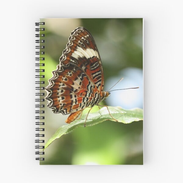 Item preview, Orange Lacewing Butterfly designed and sold by margotk.