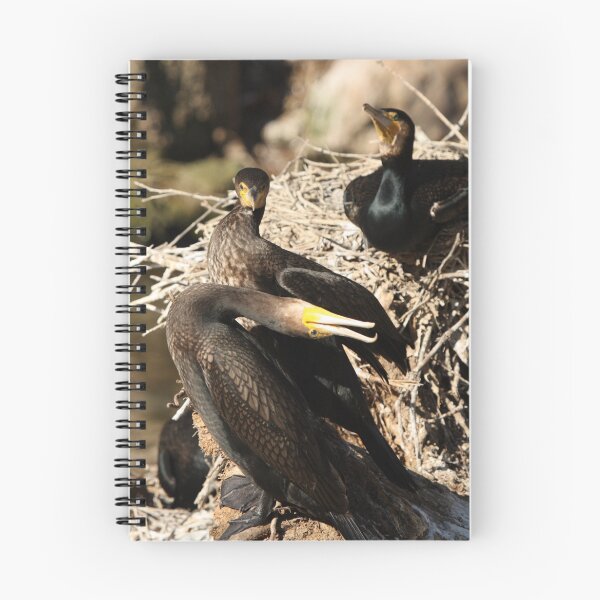 Item preview, Courting Cormorants designed and sold by margotk.