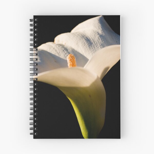 Item preview, Arum Lily designed and sold by MiImages.