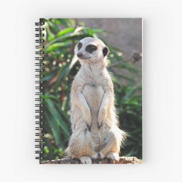 Item preview, Meerkat designed and sold by Tom Newman.