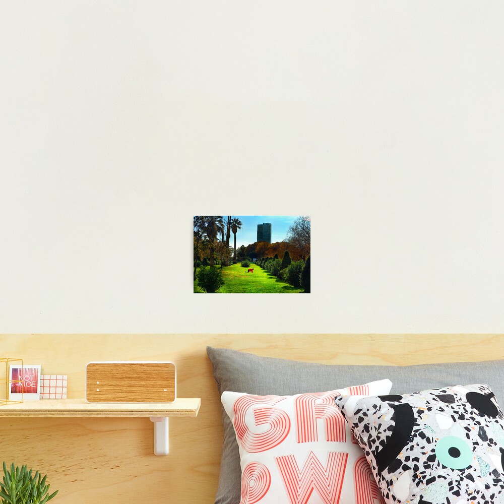 Stretching at Parc de la Ciutadella, Barcelona Photographic Print