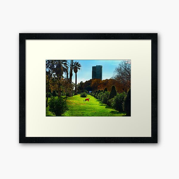 Stretching at Parc de la Ciutadella, Barcelona Framed Art Print