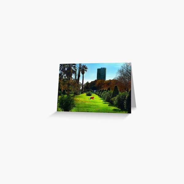 Stretching at Parc de la Ciutadella, Barcelona Greeting Card