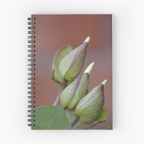 Item preview, Bindweed buds designed and sold by Maureen Brittain.