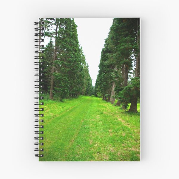 Item preview, Pine Tree Avenue designed and sold by Trevor Kersley.