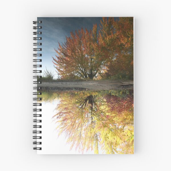 Item preview, To Reflect designed and sold by Larry  Stewart.