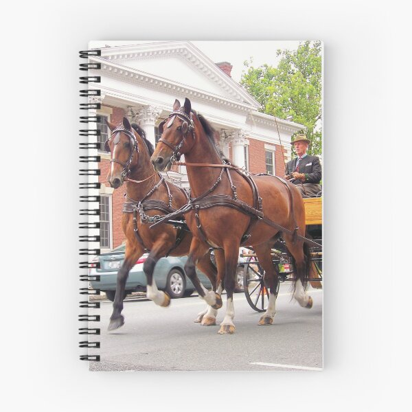 Item preview, A Slow Trot designed and sold by ChereeCheree.