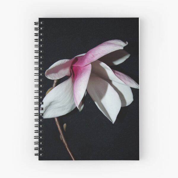 Item preview, Magestic Magnolia designed and sold by Sharon McRae.