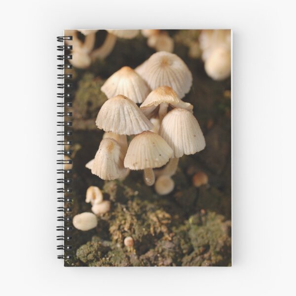 Item preview, Fungi 2 designed and sold by cml16744.