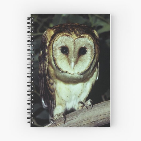 Item preview, Tasmanian Masked Owl designed and sold by Peter  Tonelli.