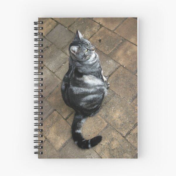 Item preview, A Cat is a Cat, and That is That. designed and sold by Sandra Chung.