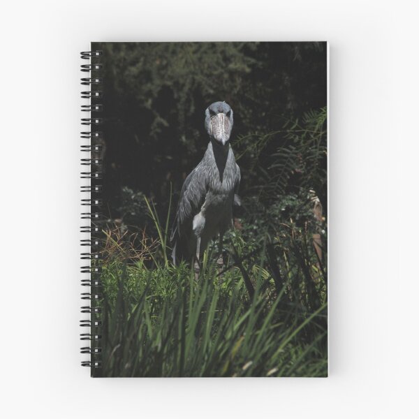 Item preview, Shoe Billed Stork 1 designed and sold by Anne Smyth.
