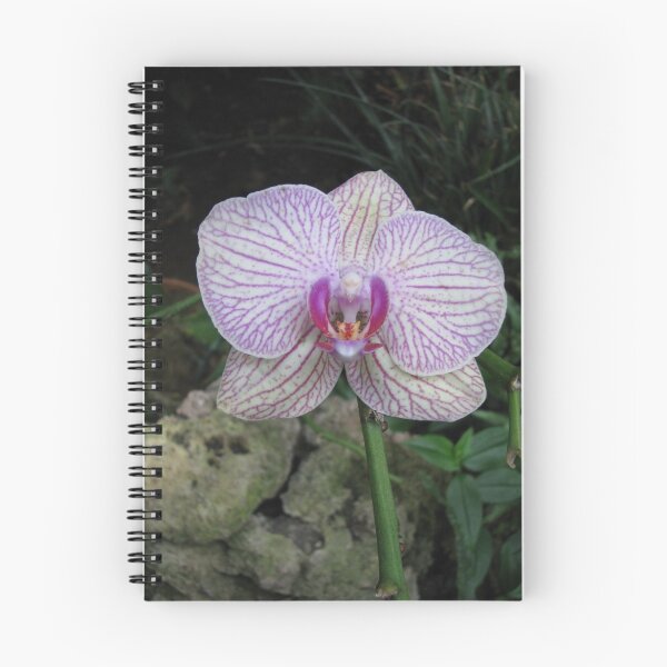 Item preview, Cymbidium Orchid designed and sold by Robert Jenner.