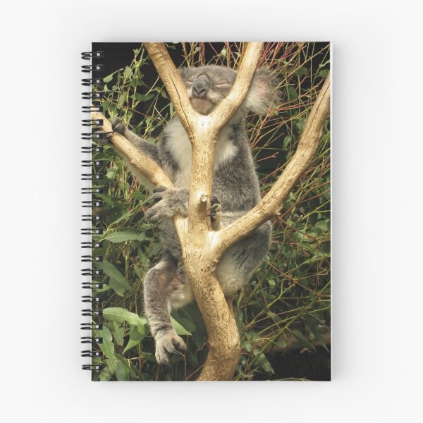 Item preview, Phascolarctos cinereus - Koala Bear designed and sold by Jason Asher.