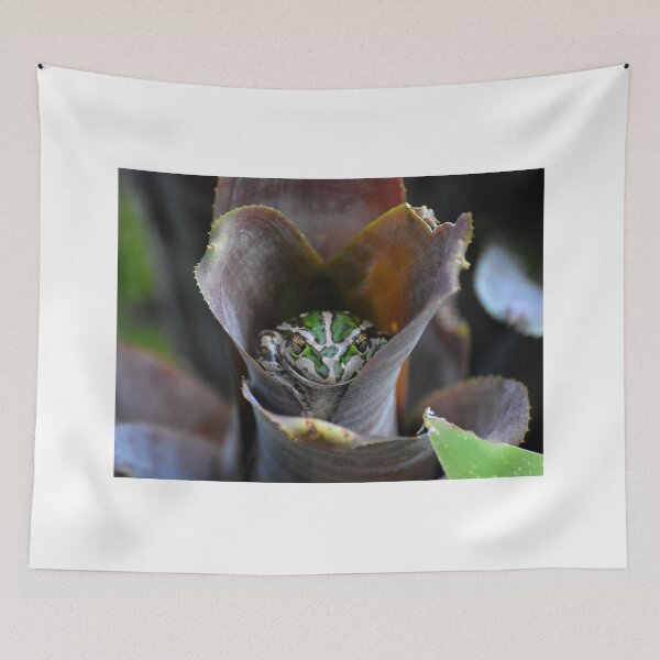 Item preview, Frog House designed and sold by CodyLaskeyPhoto.