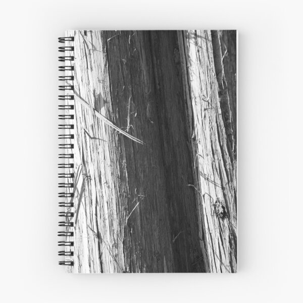 Item preview, Cedar designed and sold by rdshaw.