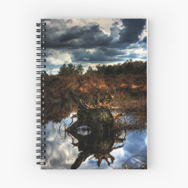 Item preview, irish bog wood designed and sold by doublevision.