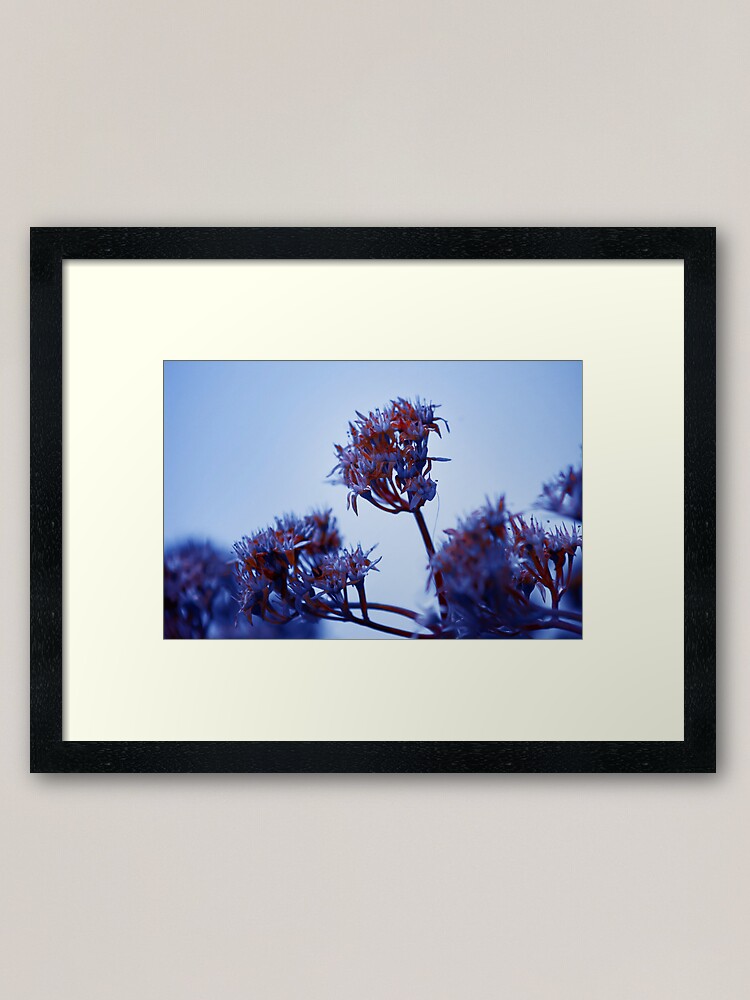 Alternate view of Cold Flowers Framed Art Print