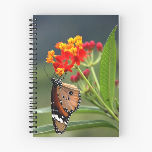 Item preview, Rishikesh butterfly designed and sold by clarkdavidw.