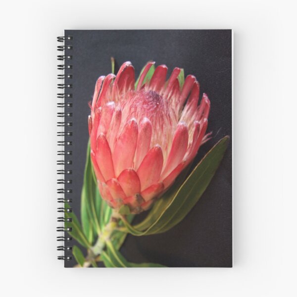 Item preview, Perky Protea designed and sold by Sharon McRae.