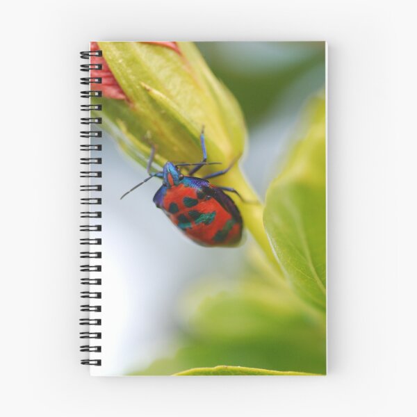 Item preview, Beetle on Flower 2 designed and sold by sarahncraig.