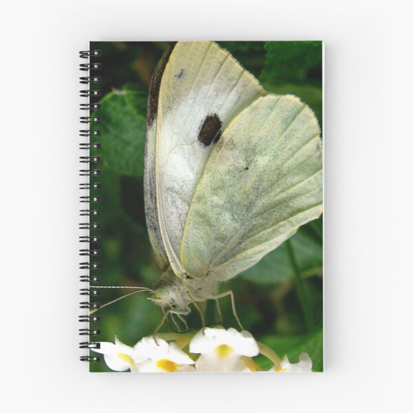 Item preview, butterfly on a leaf designed and sold by Francesca Rizzo.
