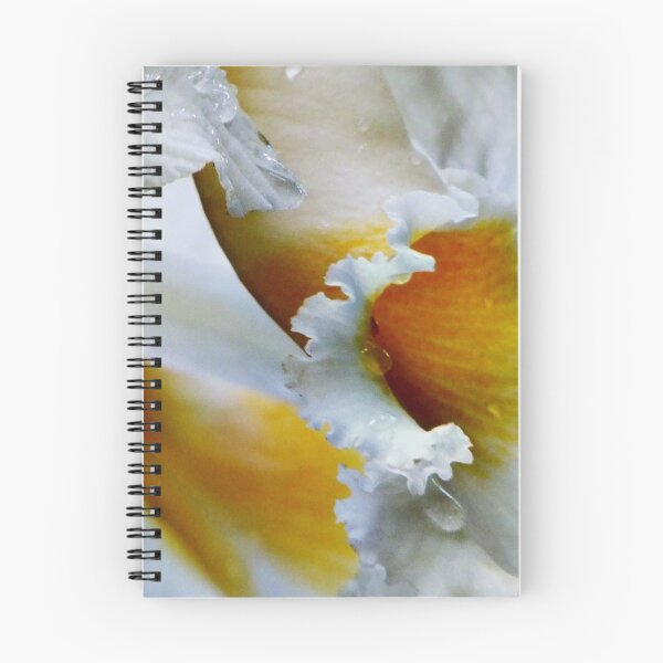 Item preview, Uncertain designed and sold by PixPlanet.