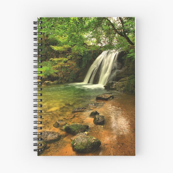 Aperçu de l'œuvre Janets Foss créée et vendue par Stewart Laker.