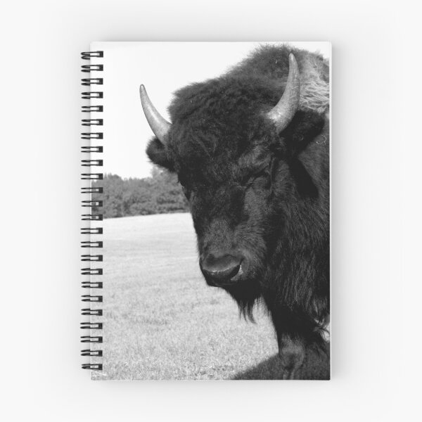 Item preview, Bison II designed and sold by Michael McCasland.