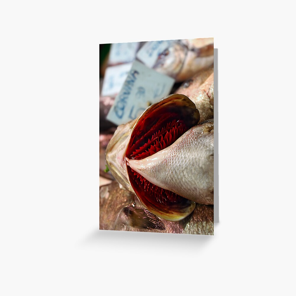 Corvina Fish Greeting Card