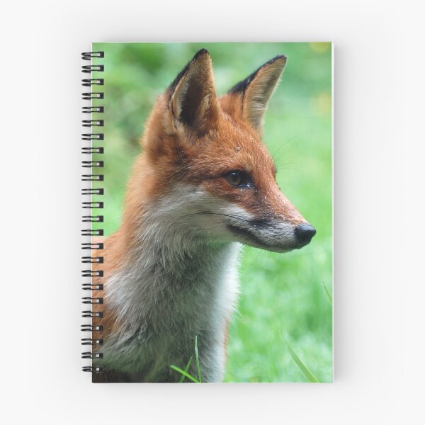 Aperçu de l'œuvre Rain drop fox créée et vendue par widge.