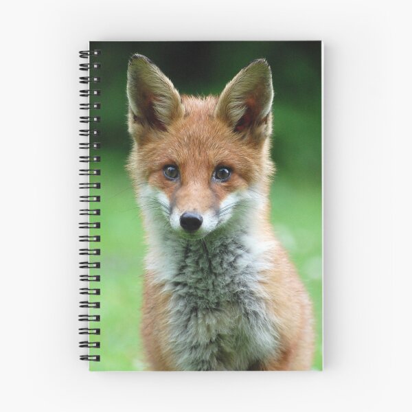 Item preview, Look of surprise designed and sold by widge.