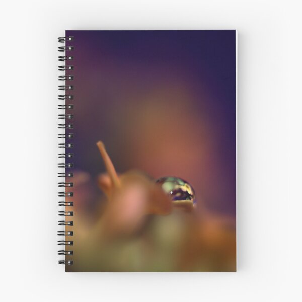 Item preview, Something A Little Different II designed and sold by Didi Bingham.