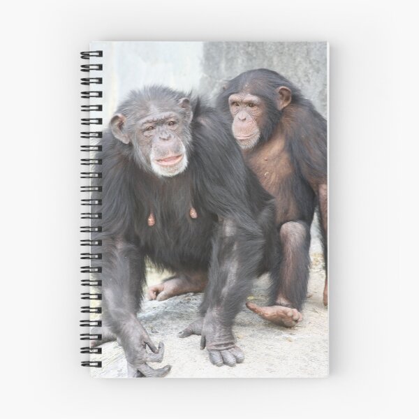 Item preview, Monkeys designed and sold by ZeeZeeshots.